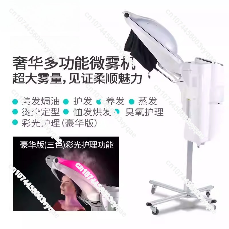 Oil Treatment Ozone Micro Mist - Hair Care Tools review and price