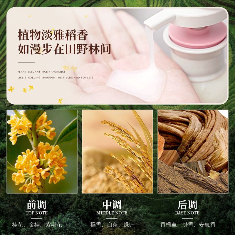 Changfa Xiaozhai Rice Water Sh - Hair Care With Rice Water review and price