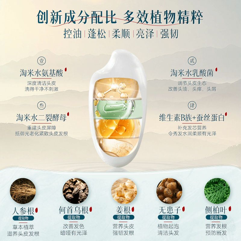 Changfa Xiaozhai Rice Water Sh - Hair Care With Rice Water review and price
