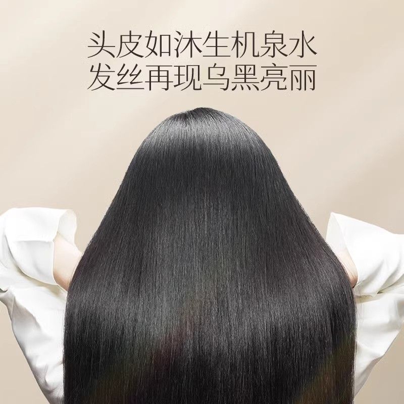 Changfa Xiaozhai Rice Water Sh - Hair Care With Rice Water review and price
