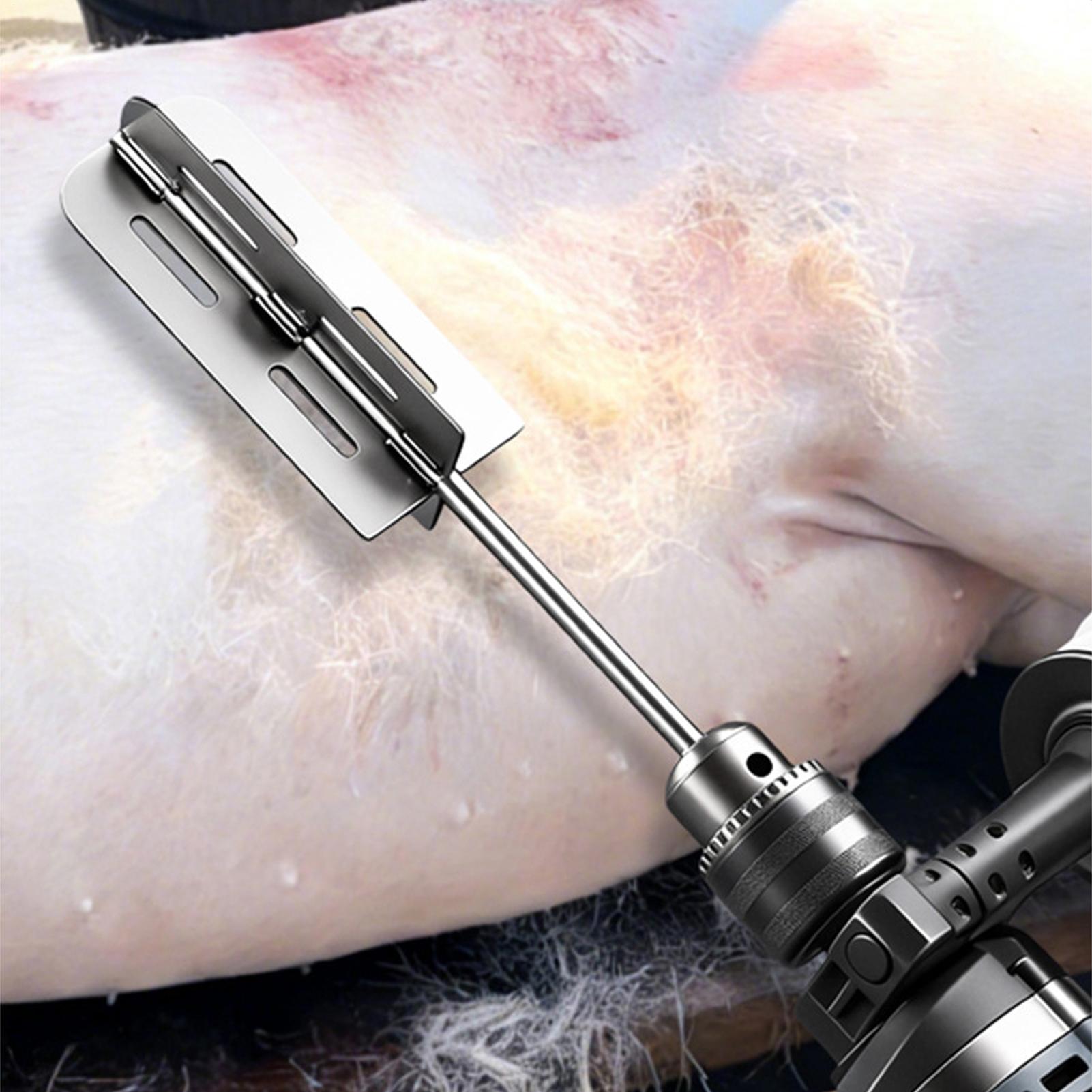 Hog Hair Removal Tool Stainles - Hair Care Tools review and price