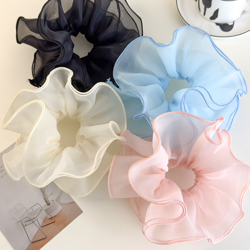 Ballet Style Double-Layer Mesh - Hair Net Invisible review and price